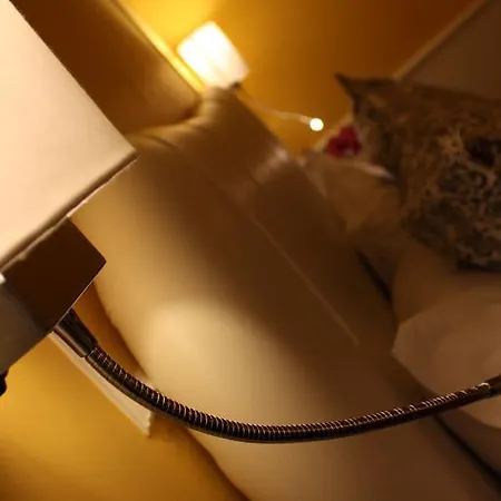 Lägenhetshotell Trevi 2*